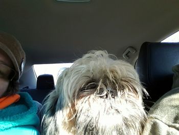 Woman looking through airplane window