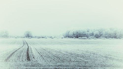 Scenic view of field against clear sky during winter