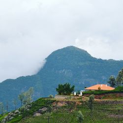 Landscape with mountain range in background
