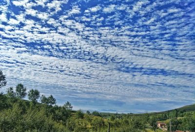 Scenic view of landscape against blue sky