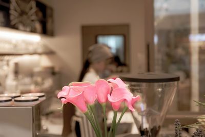 Close-up of pink roses