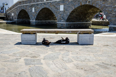 Men sitting on bridge