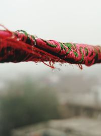 Close-up of water drops on rope against sky