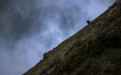 Low angle view of rocky mountain against sky