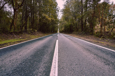 Empty road amidst trees