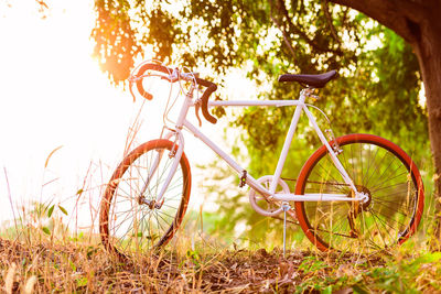 Bicycle parked on field
