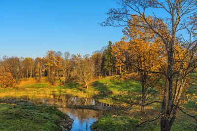 Trees by lake against sky during autumn