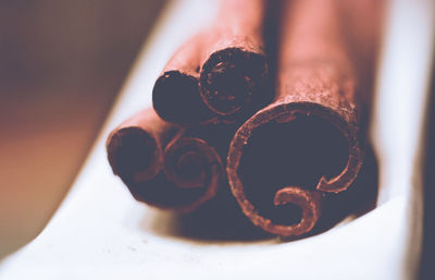 Close-up of cinnamon sticks