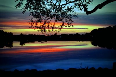 Silhouette of trees at sunset