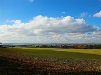 Scenic view of field against sky