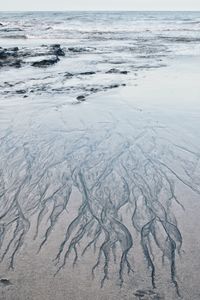 High angle view of sandy beach