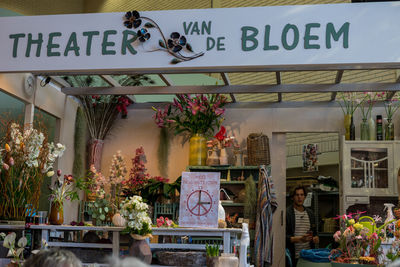 Potted plants for sale at market