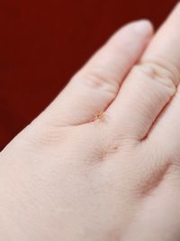 Close-up of human hand against red background