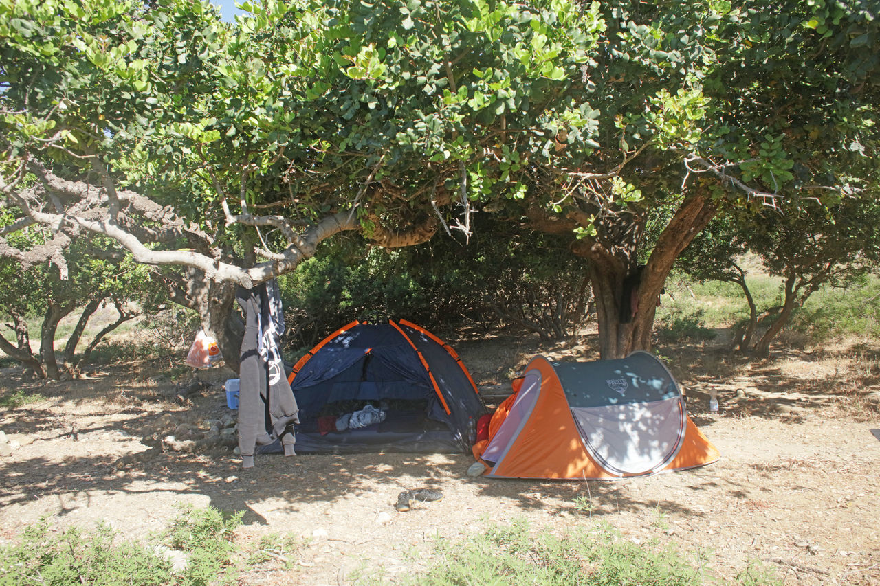 TENT IN FIELD