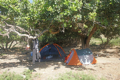 View of tent in forest