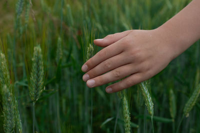hand