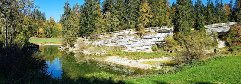 Scenic view of lake in forest against sky