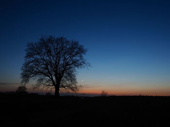 Silhouette bare tree on field against clear sky at sunset