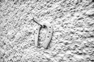 High angle view of insect on wall