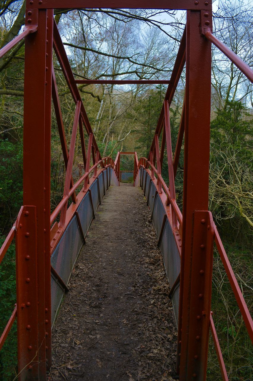 tree, bridge - man made structure, railing, connection, footbridge, metal, built structure, the way forward, bridge, transportation, architecture, metallic, park - man made space, fence, growth, day, tranquility, engineering, sunlight, nature