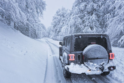 4x4 in snowy road inside a forest