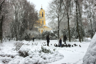 Snow covered trees and buildings against sky