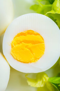 High angle view of lemon slice in plate