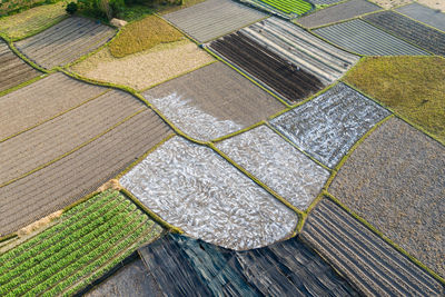 High angle view of agricultural field