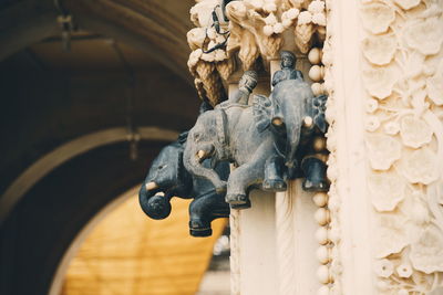 Elephant in india