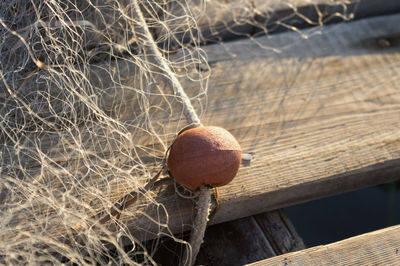 High angle view of dry leaf on wood