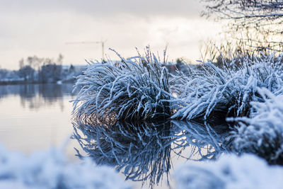 Close-up of frozen lake against sky