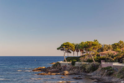 Scenic view of sea against clear sky