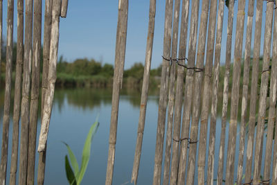 Close-up of wooden post in lake