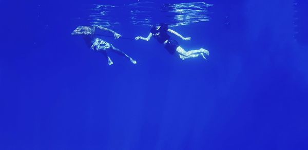 People swimming in sea