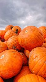 Close-up of pumpkins in market against sky