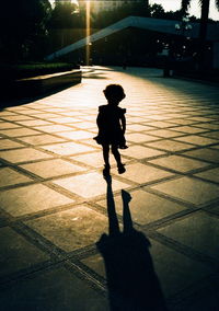 Silhouette boy on tree at sunset