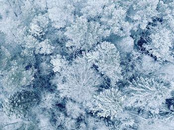 Full frame shot of snowflakes on snow