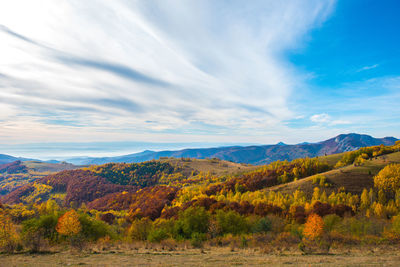 Scenic view of field against sky during autumn