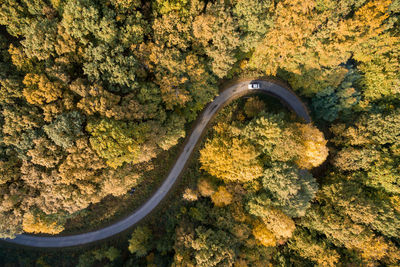 Aerial view of mountain road in forest during autumn