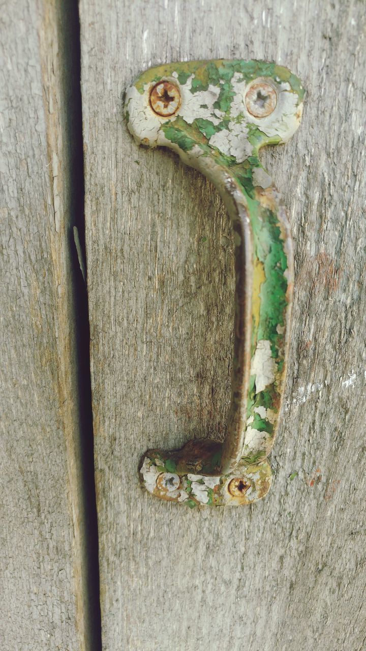 CLOSE-UP OF OLD TREE TRUNK WITH CLOSED GREEN DOOR