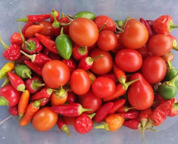 High angle view of tomatoes and red chili peppers