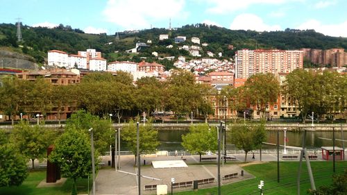 Trees and townscape against sky