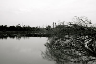 Reflection of trees in lake