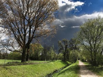 Bare trees on landscape against sky