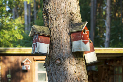 Close-up of birdhouse on tree trunk