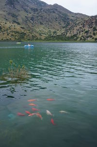 Scenic view of lake