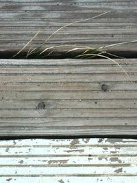 Close-up of corrugated iron