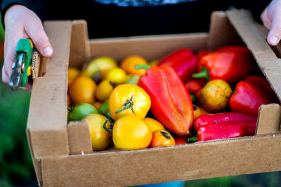 High angle view of tomatoes in box