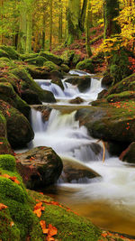 Scenic view of waterfall in forest