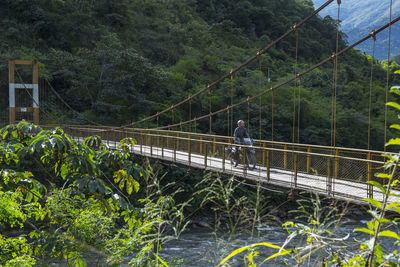 Man on bridge in forest